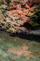 清流と紅葉