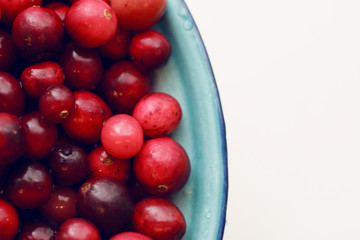 lot of fresh cranberries in a bowl close up