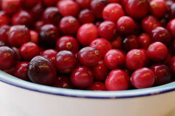 lot of fresh cranberries in a bowl close up