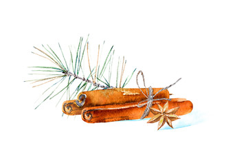 Cinnamon, star anise and pine branch. Ingredients for mulled wine.Watercolor hand drawn illustration.White background.	