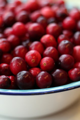 lot of fresh cranberries in a bowl close up