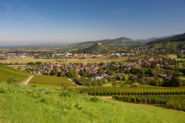 Fototapeta na wymiar Landschaft bei Staufen im Breisgau