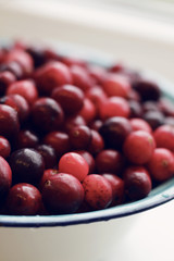 lot of fresh cranberries in a bowl close up