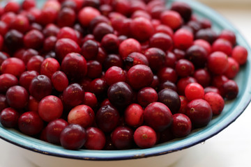 lot of fresh cranberries in a bowl close up