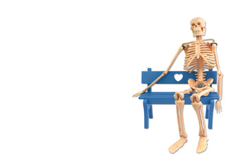 Human skeleton is sitting on the bench