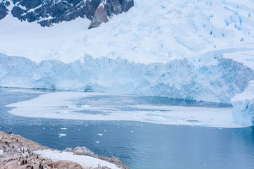 chute de glace en antarctique
