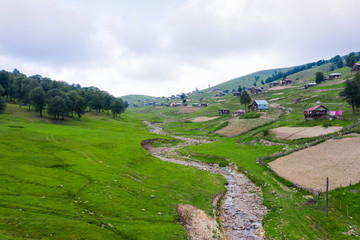 Beautiful nature with country cottages and traditional wooden houses on the road through the Goderdzi Pass in Georgia.