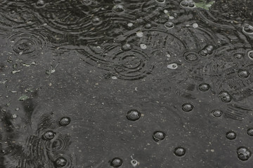 background puddle rain / circles and drops in a puddle, texture with bubbles in the water, autumn rain
