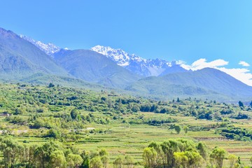 Obraz premium Lush Green Hills and Snow Mountain in Shangri-La, China