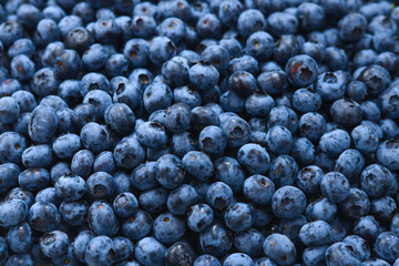 Fresh blueberry background. Texture blueberry berries close up.