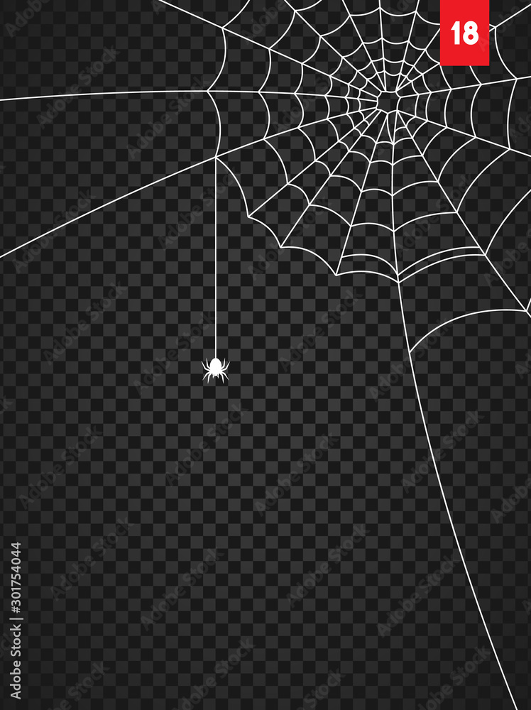 Wall mural halloween cobweb and spiders isolated on dark transparency background
