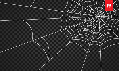 Halloween cobweb and spiders isolated on dark transparency background