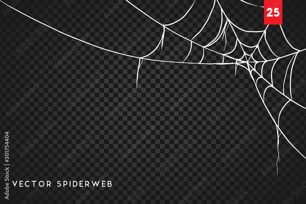 Wall mural halloween cobweb and spiders isolated on dark transparency background