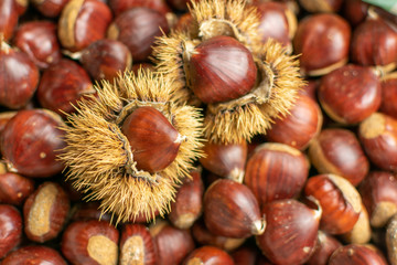 lots of freshly chestnuts