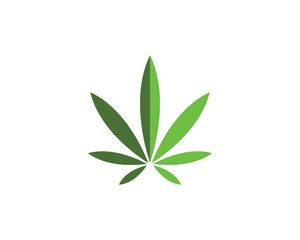 cannabis leaf vector icon illustration design