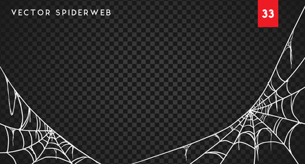 Halloween cobweb and spiders isolated on dark transparency background
