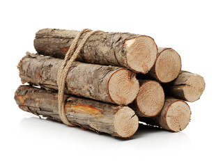 Pine logs on white background