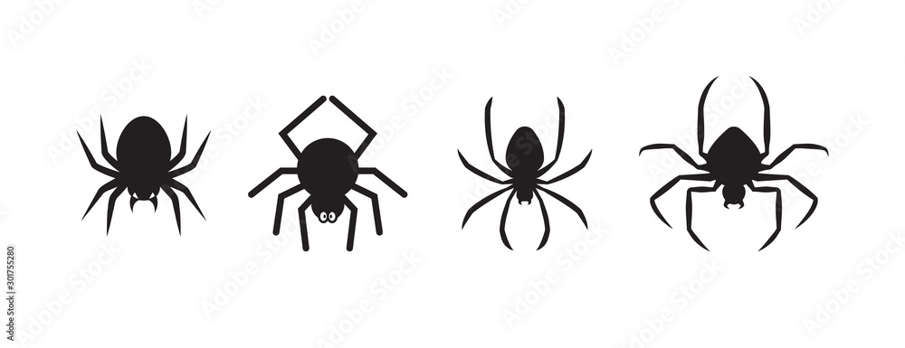 Wall mural Spiders for decoration and covering on the transparent background. Creepy background for Halloween.