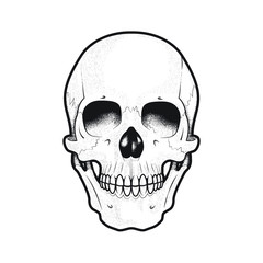 Black and White Human Skull Vector Art