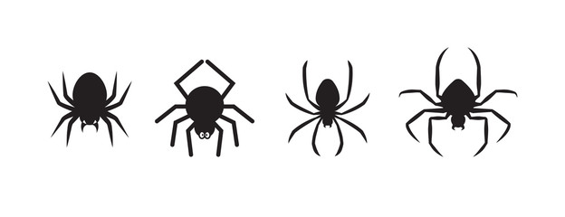 Spiders for decoration and covering on the transparent background. Creepy background for Halloween.