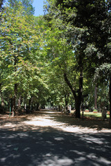 piazza mignanelli spagna