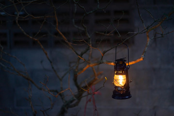 vintage lantern hanging of a tree in the evening © domonite