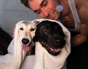 Smiling owner hugging obedient Shepherd and Irish Setter dogs while washing in bathtub