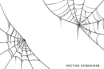 Halloween spider web and spiders isolated on white background
