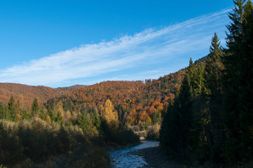 Naklejka premium golden autumn in sunny mountains with beautiful blue sky