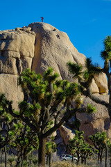 VERTICAL: Climbers scale aboulder in Joshua Tree National Park on sunny day