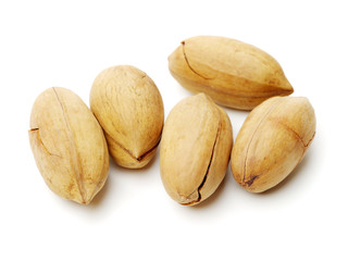 Pecan nuts on white background