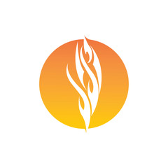 Fire flame vector illustration design template