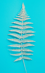 silver sprig of fern for Christmas cards on a blue background.