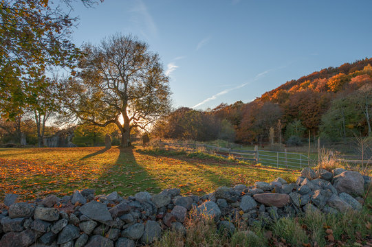 The countryside of Ostergotland at Omberg during autumn in Sweden