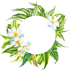 wreath, green watercolor leaves on an isolated white background, botanical illustration, tropical plants Dracaena, plumeria