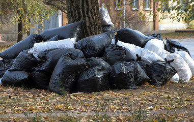 bagging garbage on the streets of the town