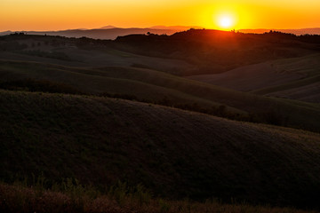 Landscape of the Siena hills at sunset