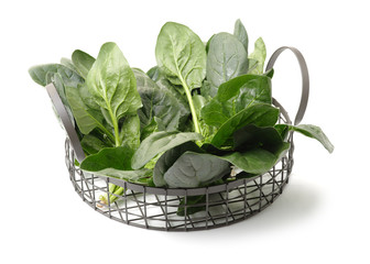 Spinach on a white background