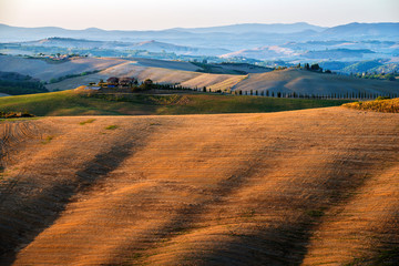 Fototapeta na wymiar Landscape of the Siena hills at sunset