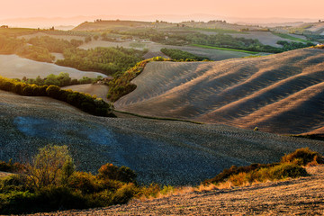 Landscape of the Siena hills at sunset