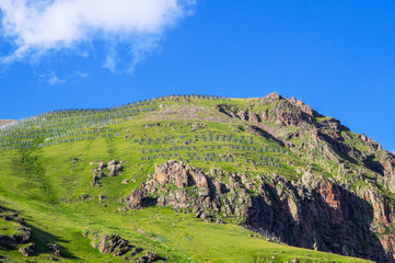 Fototapeta na wymiar Avalanche barrierAvalanche barrier in the summer in the mountains, Elbrus region