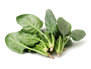 Spinach on a white background
