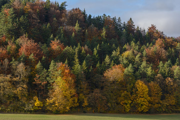 Herbstfarben bei Sonnenschein im Thüringer Wald