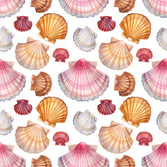seashell seamless pattern on isolated white background, watercolor illustration