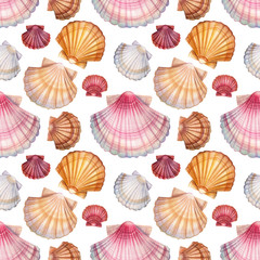 seashell seamless pattern on isolated white background, watercolor illustration