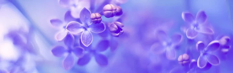 Schilderijen op glas Bloemen lila mooie delicate lente grens. Zachte selectieve focus. © Yulia