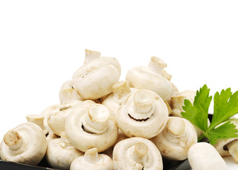 White mushrooms on white background