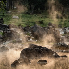 Hot spring in Chae Son National Park, Northern Thailand