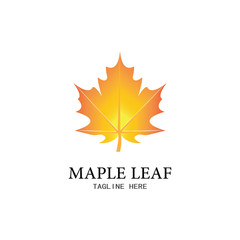 Maple leaf vector illustration