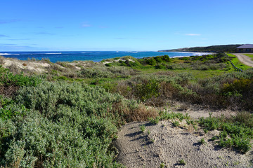 View of Horrocks Beach in the Mid West region of Western Australia